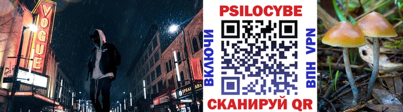 Псилоцибиновые грибы мицелий Тайга